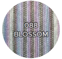 088 Blossom-848